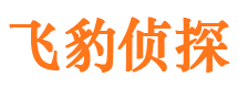 漠河市私家侦探公司